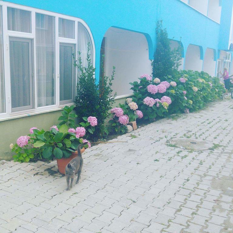 Ada Motel Türkeli Εξωτερικό φωτογραφία